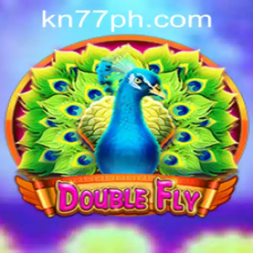 DoubleFly: A Comprehensive Guide to the Thrilling Adventure Game